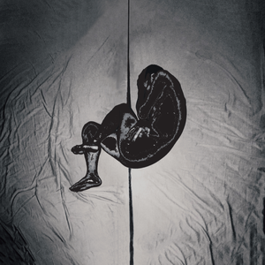 Lisa被多人C到高潮文
